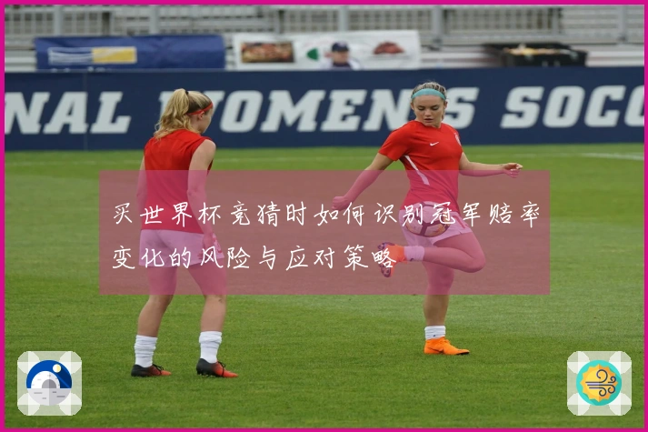 买世界杯竞猜时如何识别冠军赔率变化的风险与应对策略