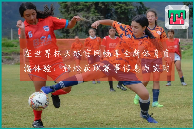 在世界杯买球官网畅享全新体育直播体验,轻松获取赛事信息与实时动态