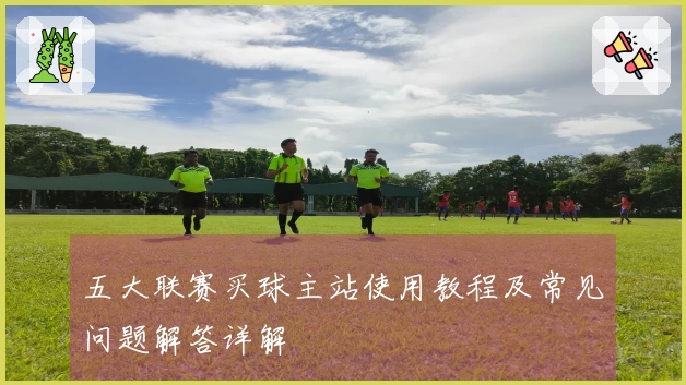 五大联赛买球主站使用教程及常见问题解答详解