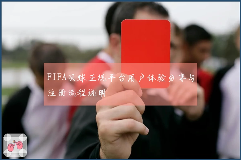 FIFA买球正规平台用户体验分享与注册流程说明
