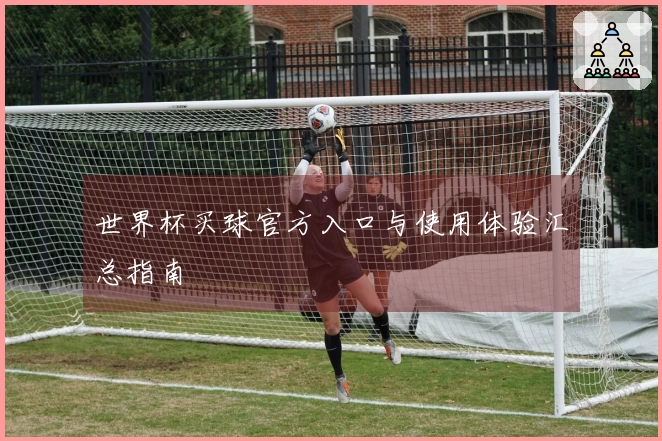 世界杯买球官方入口与使用体验汇总指南