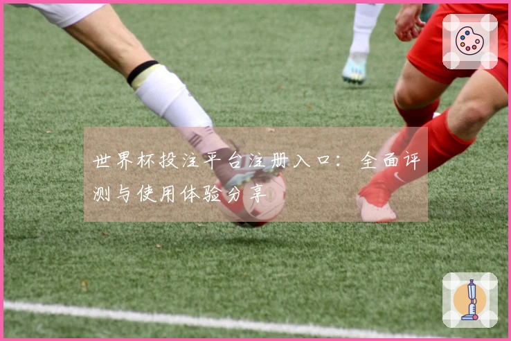 世界杯投注平台注册入口:全面评测与使用体验分享