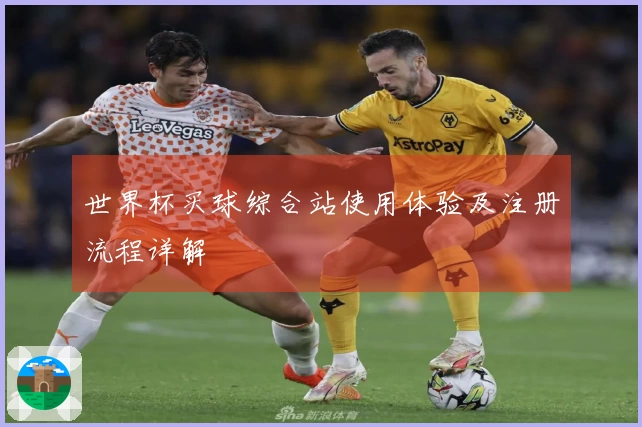 世界杯买球综合站使用体验及注册流程详解
