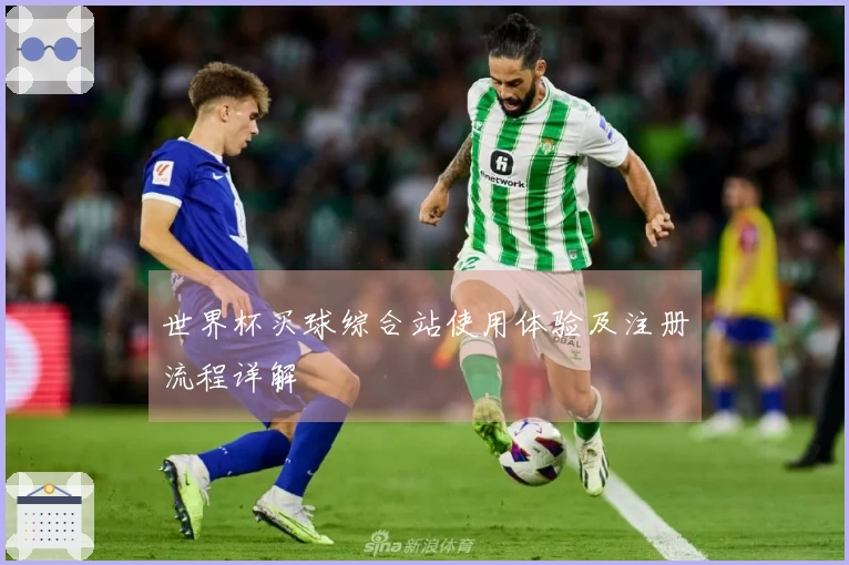 世界杯买球综合站使用体验及注册流程详解