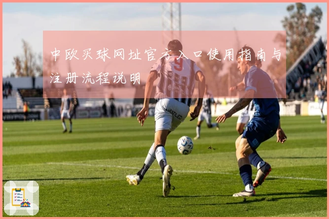 中欧买球网址官方入口使用指南与注册流程说明