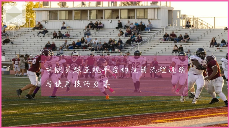 中欧买球正规平台的注册流程说明与使用技巧分享